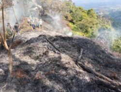 Sempat Dilalap Api, Kebakaran di Kawasan Taman Nasional Gunung Salak Sudah Berhasil Dipadamkan