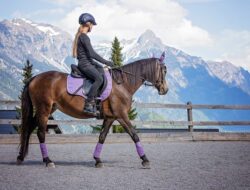 Manfaat Luar Biasa Olahraga Berkuda untuk Kesehatan Fisik dan Mental Anda