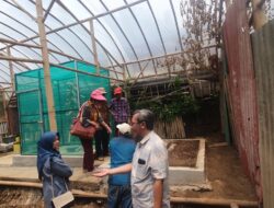 Biodigester Pengolah Kohe Jadi Magot Kapasitas 375 Kg/Hari Dibangun di Lembang