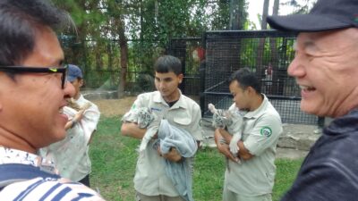 Aden, Akim, dan Anara, Bayi Harimau Benggala yang Jadi Keluarga Baru Lembang Park and Zoo