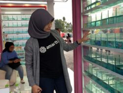 Piala Dunia U-17 Membawa Berkah Bagi Penjual Ikan Cupang di Soreang