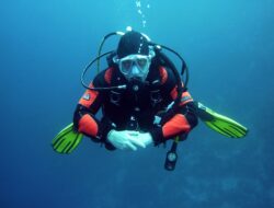Menyelami Perbedaan Antara Diving dan Snorkeling dalam Menjelajahi Bawah Lautan
