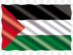 Ketum PSSI Ingatkan, Bendera Palestina yes, terobos lapangan no!