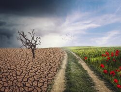 Iklim Rusak dan Suhu Bumi Semakin Panas, Angka Kematian Manusia Meningkat 370 Persen