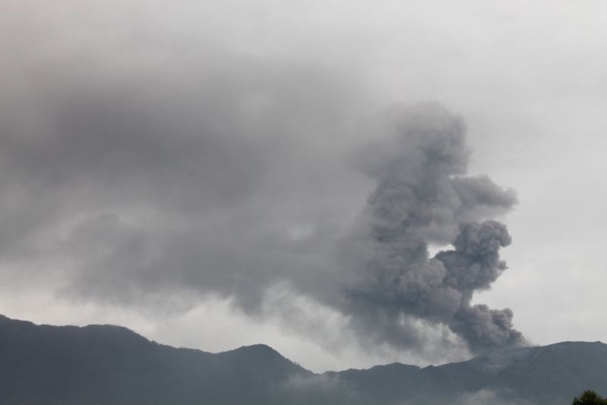 UPDATE Erupsi Gunung Marapi, Posko DVI Terima 7 Pendaki, 3 Sudah Meninggal