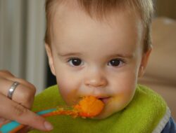 Memahami Peran Mpasi dalam Mencegah Anemia Defisiensi Zat Besi Pada Bayi