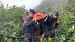 UPDATE Erupsi Gunung Marapi: 75 Pendaki Sudah Berhasil Ditemukan, Polisi Terus Sisir di Area Bahaya