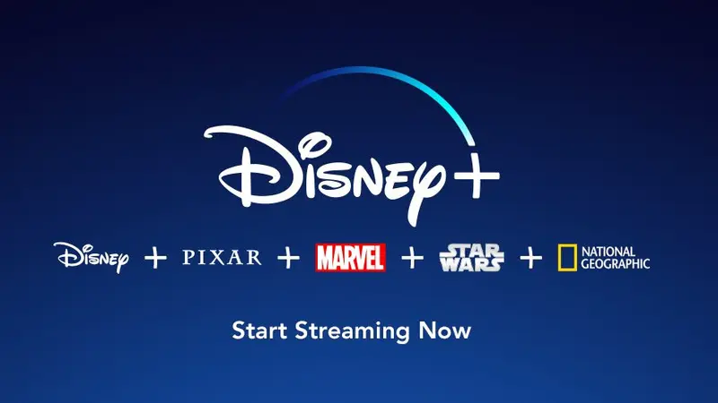 Disney Plus akan Tindak Pelanggan yang Share Password