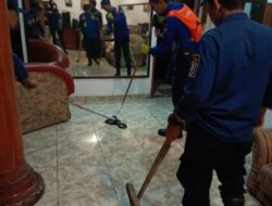 Masuk ke Rumah, Seekor Ular Kobra Berhasil Divekuasi Diskar Kota Bandung