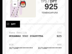 Viral Netizen Posting Keanehan Data DPT Pemilu 2024, Tinggal di Jakarta tapi TPS-nya di Papua