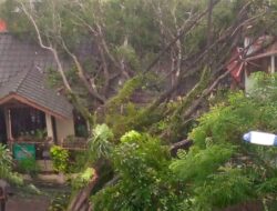 Bandung Diguyur Hujan Lebat Disertai Petir: Kawasan Gedebage Tergenang Banjir, Latihan Persib Dibatalkan