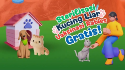 Vaksin Rabies dan Sterilisasi Kucing Grartis Bandung