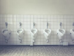 Pada Momen Mudik Lebaran 2024, Astra Tol Cipali Bakal Sediakan 785 Toilet Gratis di Rest Area