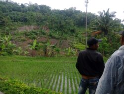 Tebing Setinggi 120 Meter Longsor hingga Tutup Akses Jalan Antar Desa di Gununghalu KBB