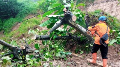 Diguyur Hujan Deras, Pohon Tumbang dan Tanah Longsor Terjadi di KBB