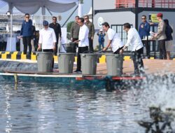 Presiden Jokowi Resmikan Modeling Budidaya Ikan Nila Salin di Karawang