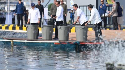 Presiden Jokowi Resmikan Modeling Budidaya Ikan Nila Salin di Karawang