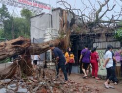 Diguyur Hujan Disertai Angin, Satu Pohon Besar Tumbang Menimpa Rumah di Jalan Suci Bandung