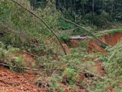 Akses Jalan Penghubung KBB dan Cianjur di Gununghalu Lumpuh Akibat Longsor