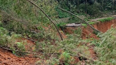 Longsor di Gununghalu KBB Timbun Lahan Pertanian hingga Padi Siap Panen Rusak, Petani Rugi Besar